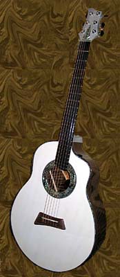 Beth Wood's Guitar