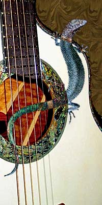 Chameleon Art